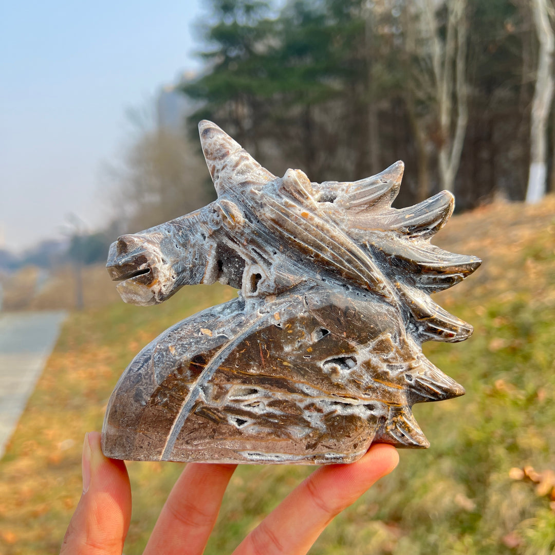 Unique,Natural Crystal Carving Agate Geode Unicorn