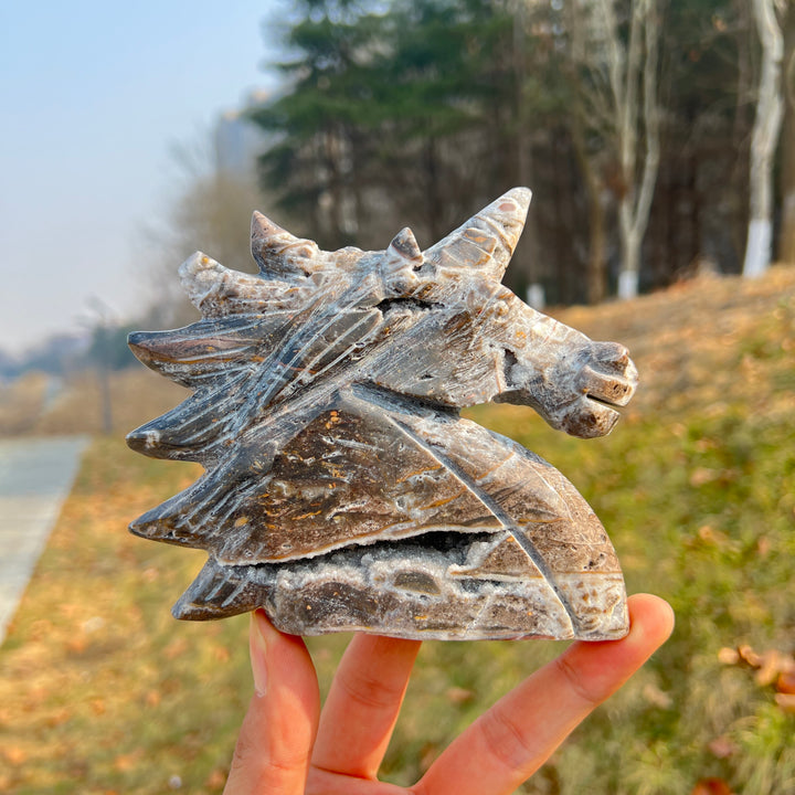 Unique,Natural Crystal Carving Agate Geode Unicorn