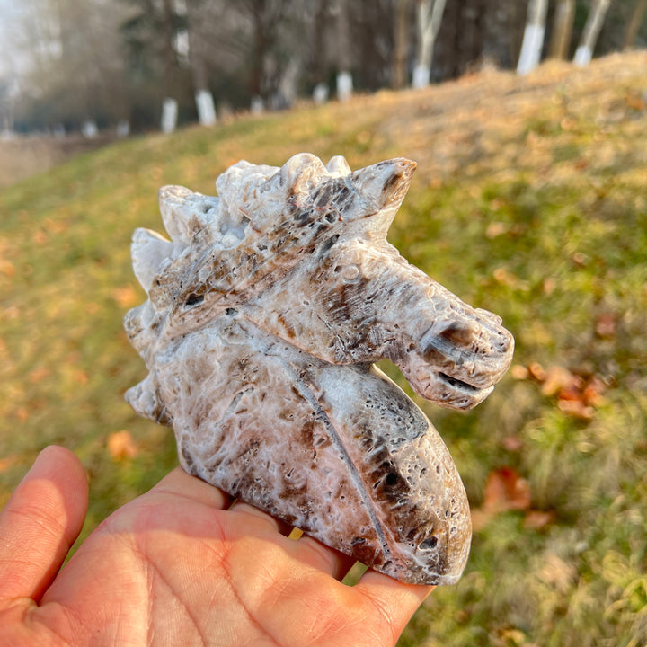 Unique,Natural Crystal Carving Agate Geode Unicorn