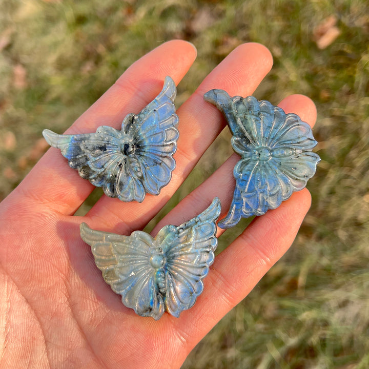 Natural Crystal Carvng Labradorite Butterfly