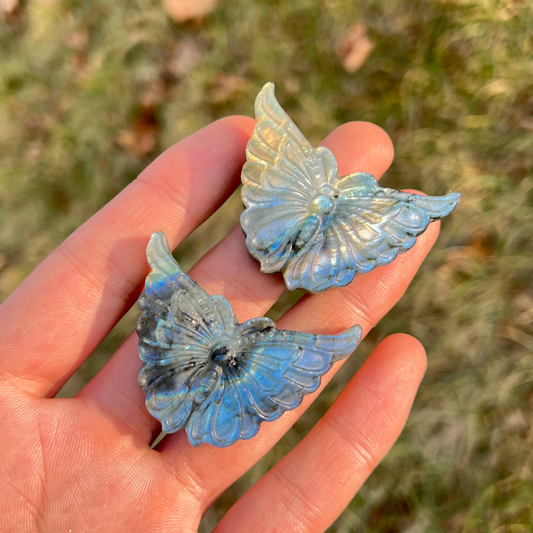 Natural Crystal Carvng Labradorite Butterfly