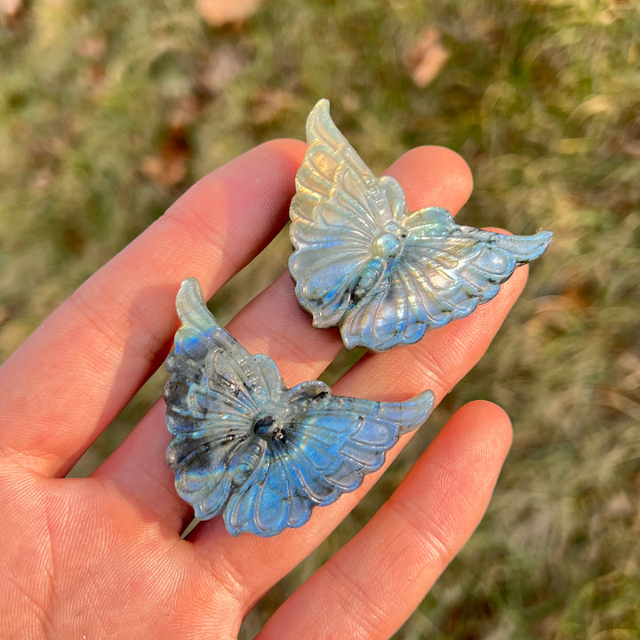 Natural Crystal Carvng Labradorite Butterfly
