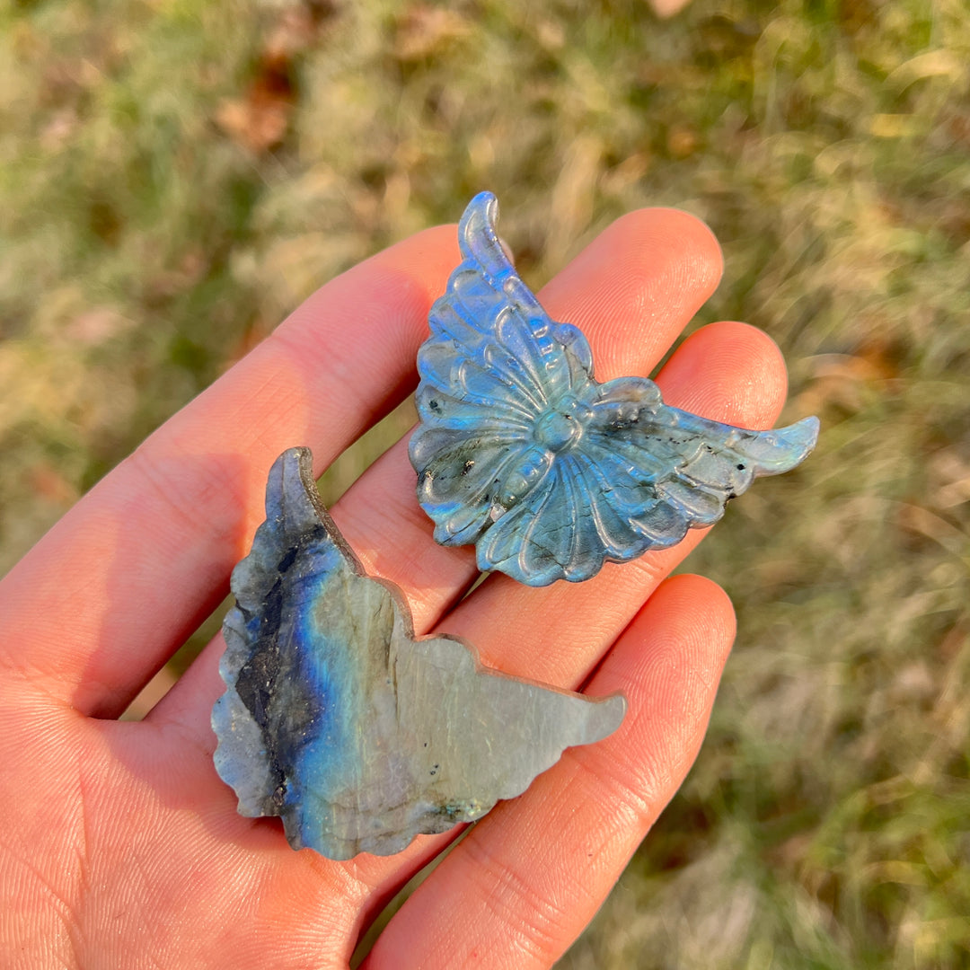Natural Crystal Carvng Labradorite Butterfly