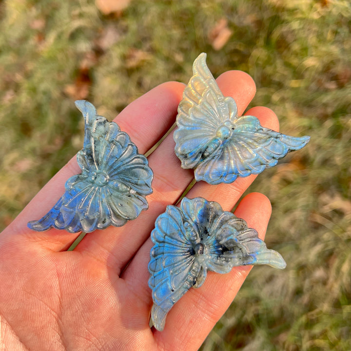 Natural Crystal Carvng Labradorite Butterfly