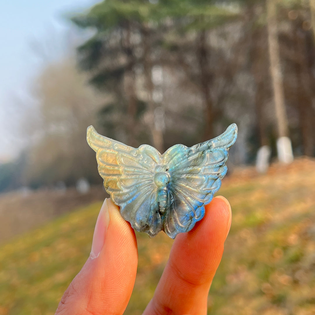 Natural Crystal Carvng Labradorite Butterfly