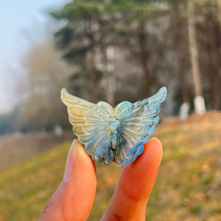 Natural Crystal Carvng Labradorite Butterfly