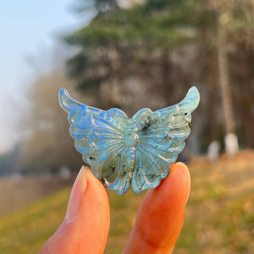 Natural Crystal Carvng Labradorite Butterfly