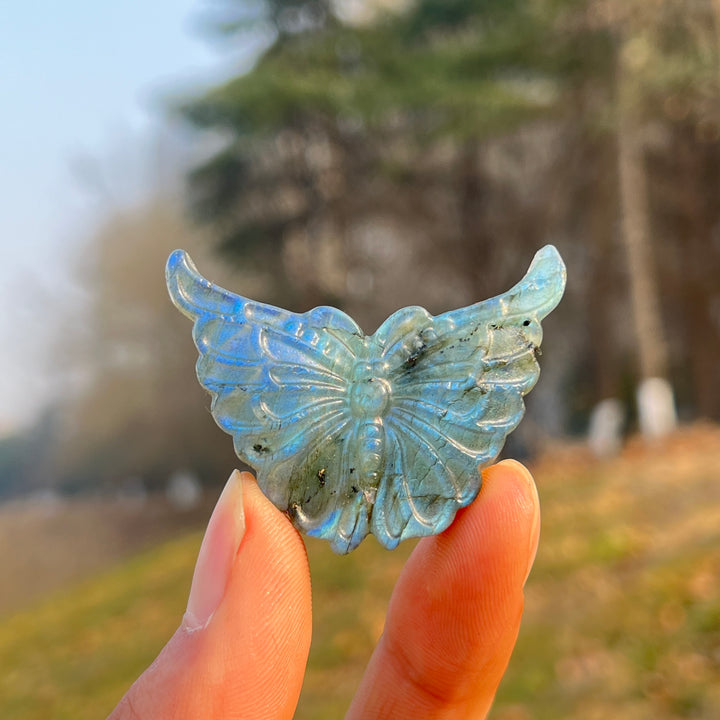 Natural Crystal Carvng Labradorite Butterfly