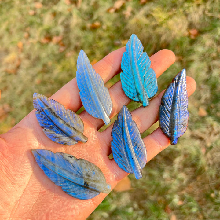 Labradorite Tree Leaf