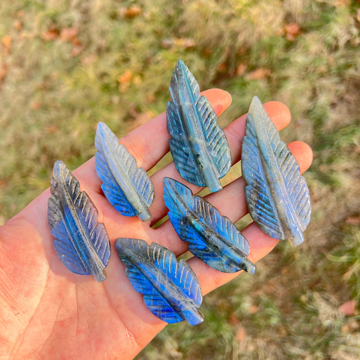 Labradorite Tree Leaf