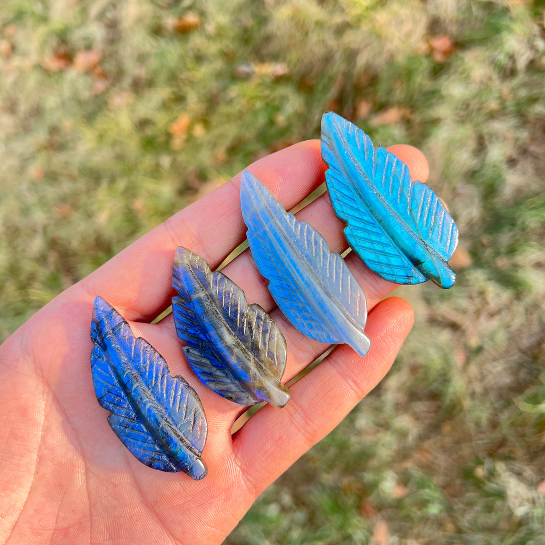 Labradorite Tree Leaf