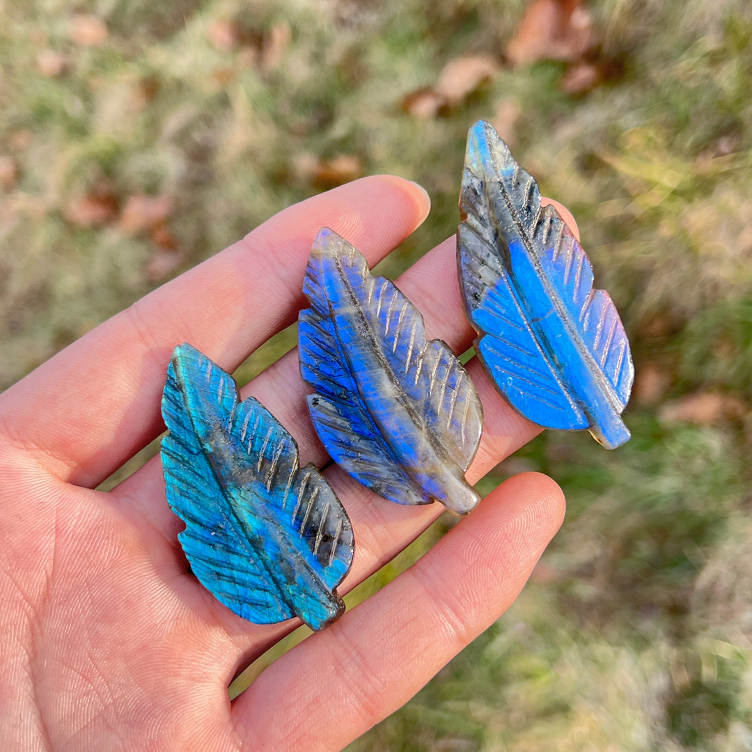 Labradorite Tree Leaf