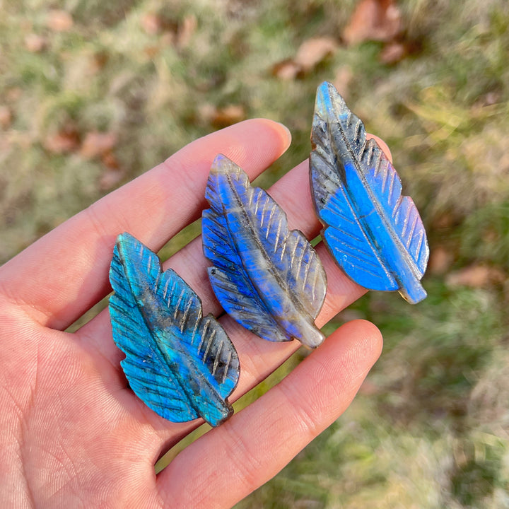 Labradorite Tree Leaf