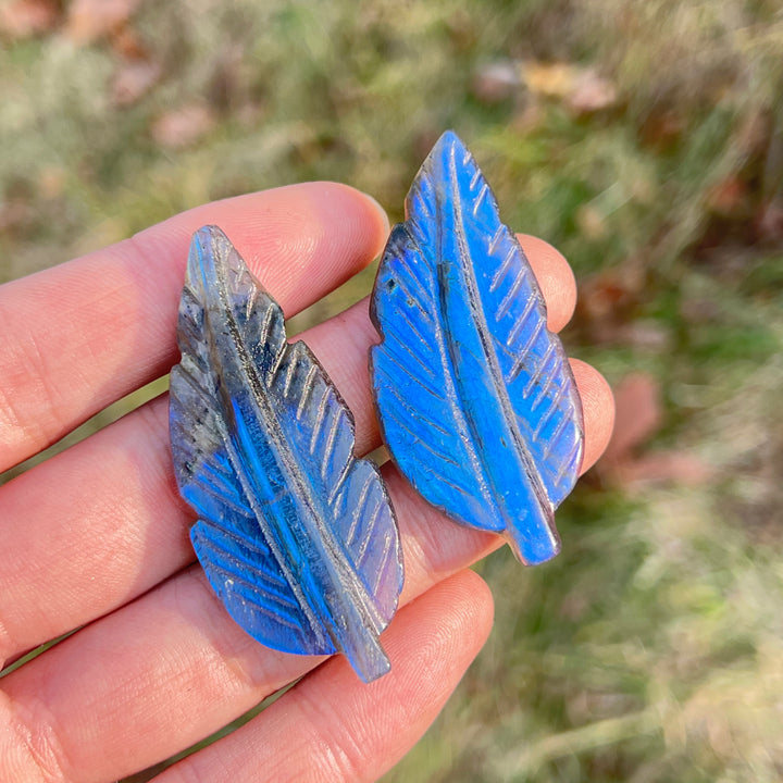 Labradorite Tree Leaf