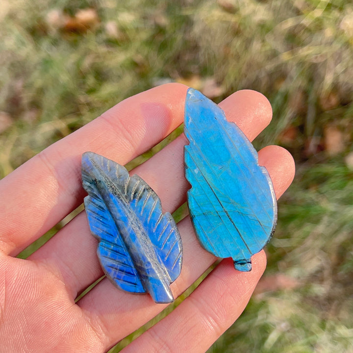 Labradorite Tree Leaf