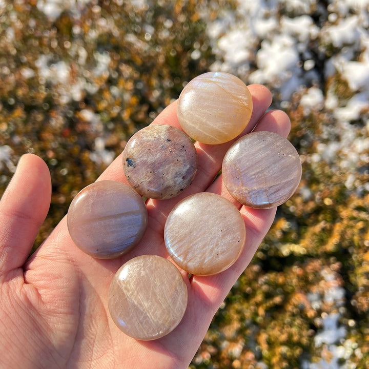 Natural Moonstone Round Palm Stone