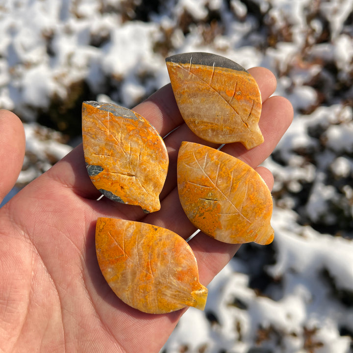 Bumble Bee Jasper Leaf