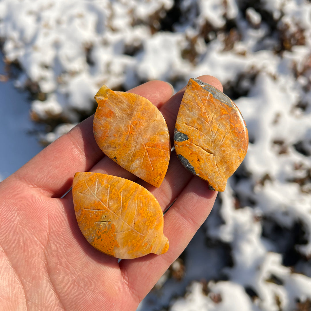 Bumble Bee Jasper Leaf