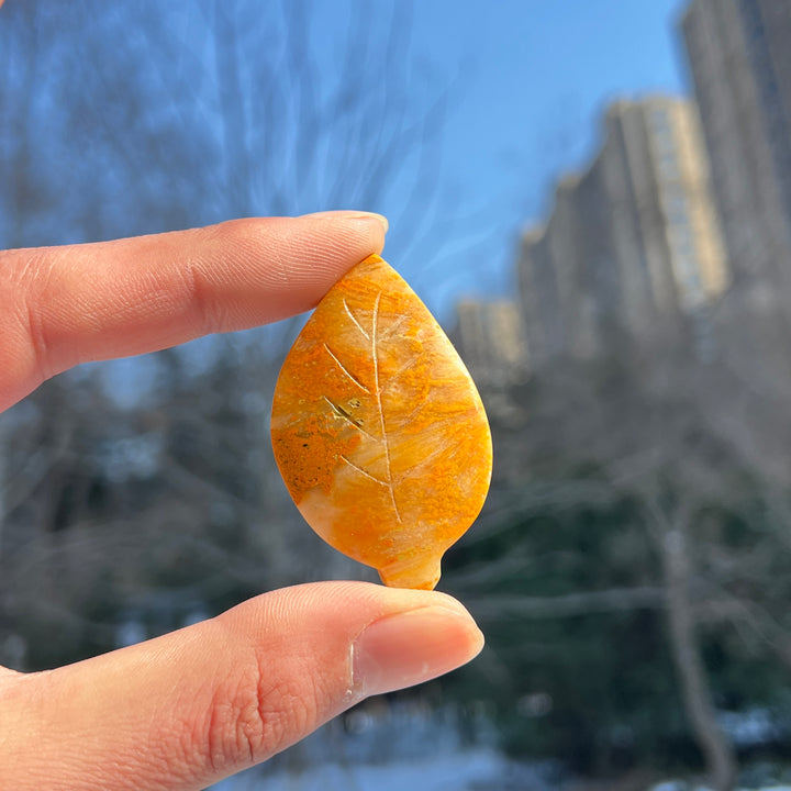 Bumble Bee Jasper Leaf
