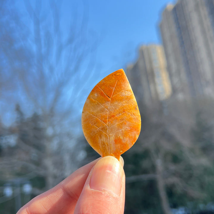 Bumble Bee Jasper Leaf
