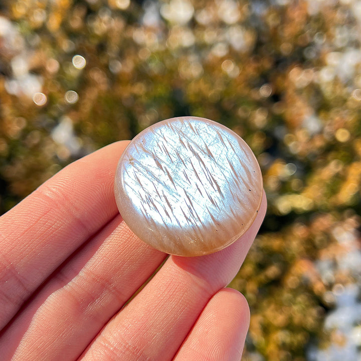Natural Moonstone Round Palm Stone