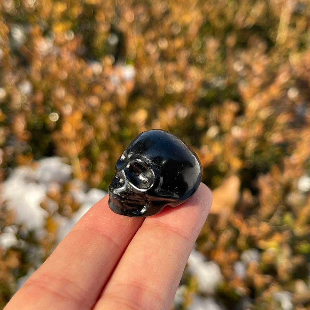 Natural Crystal Carving Mini Skull