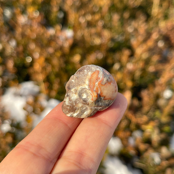 Natural Crystal Carving Mini Skull