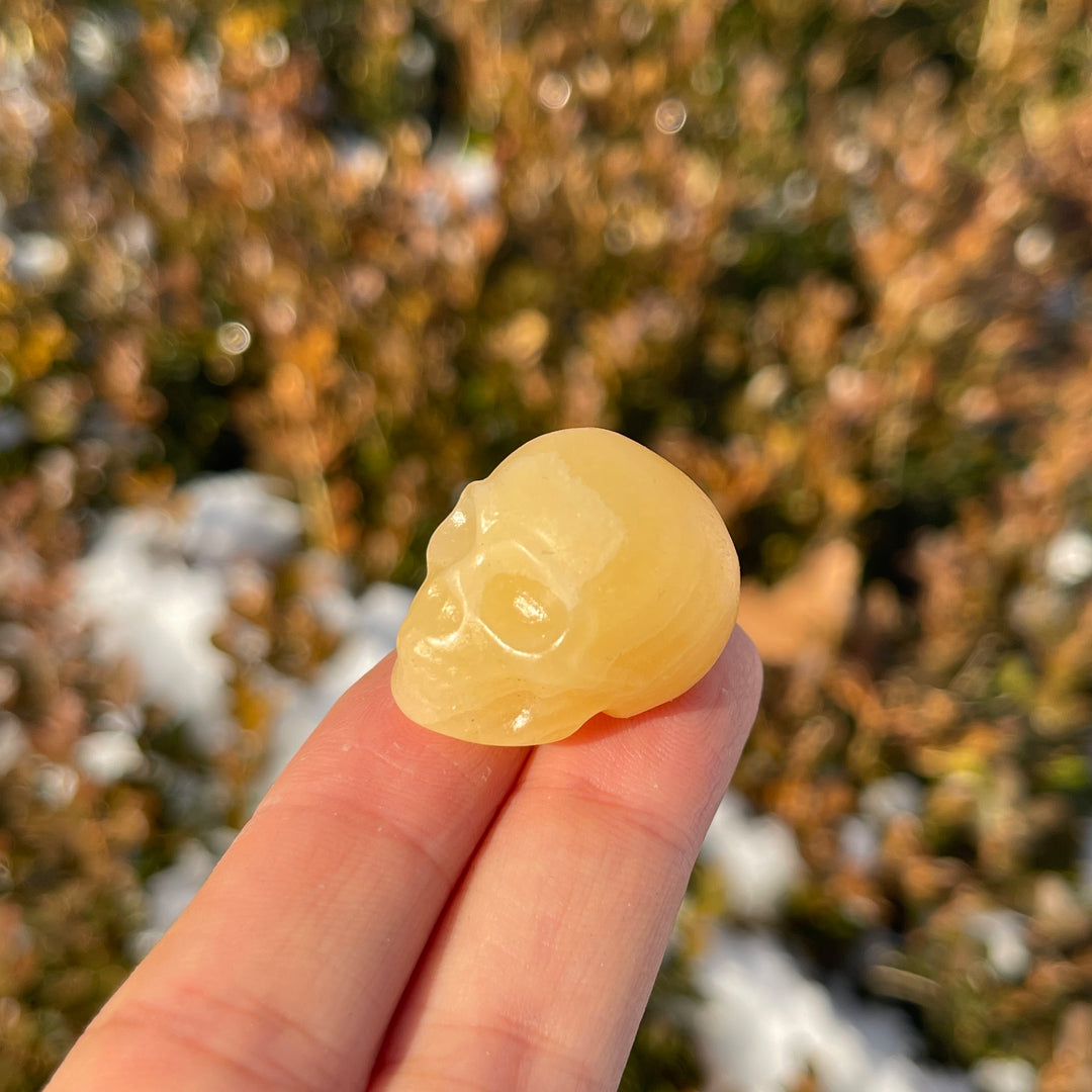 Natural Crystal Carving Mini Skull
