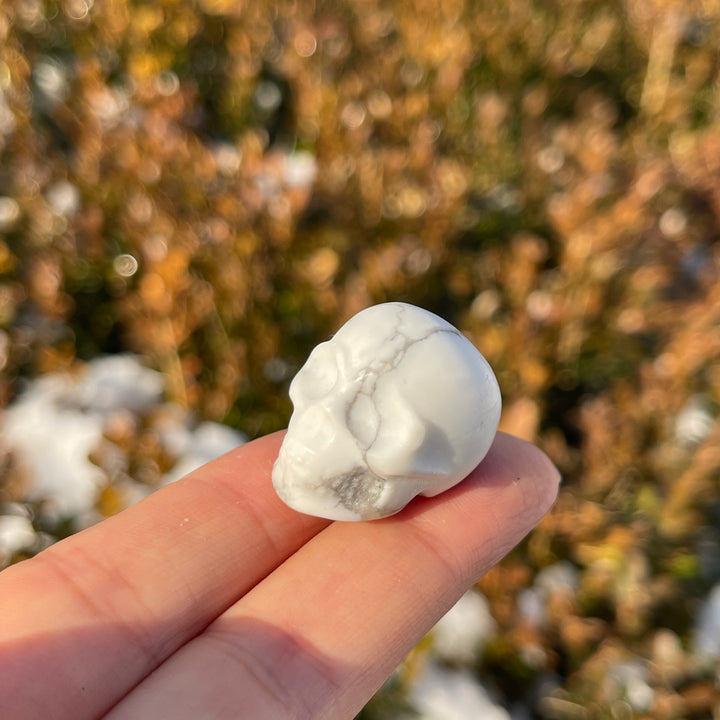 Natural Crystal Carving Mini Skull