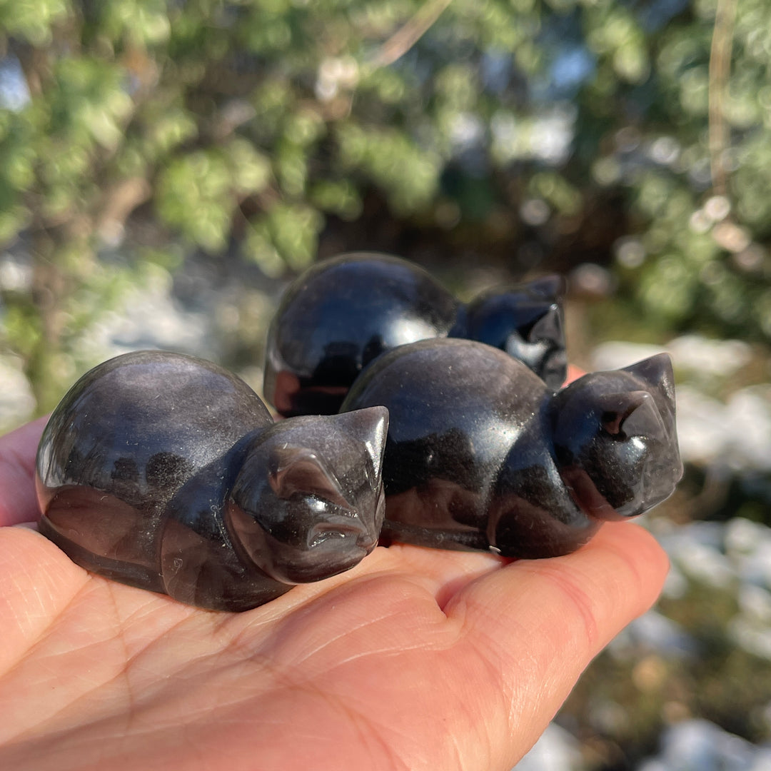 Natural Silver Obsidian Bread Cat Carving