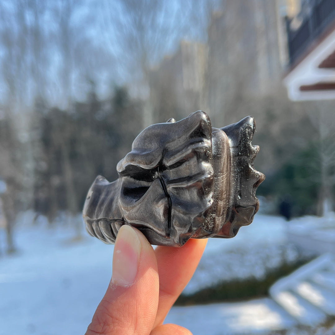 Natural Crystal Carving Silver Obsidian Dragon Head