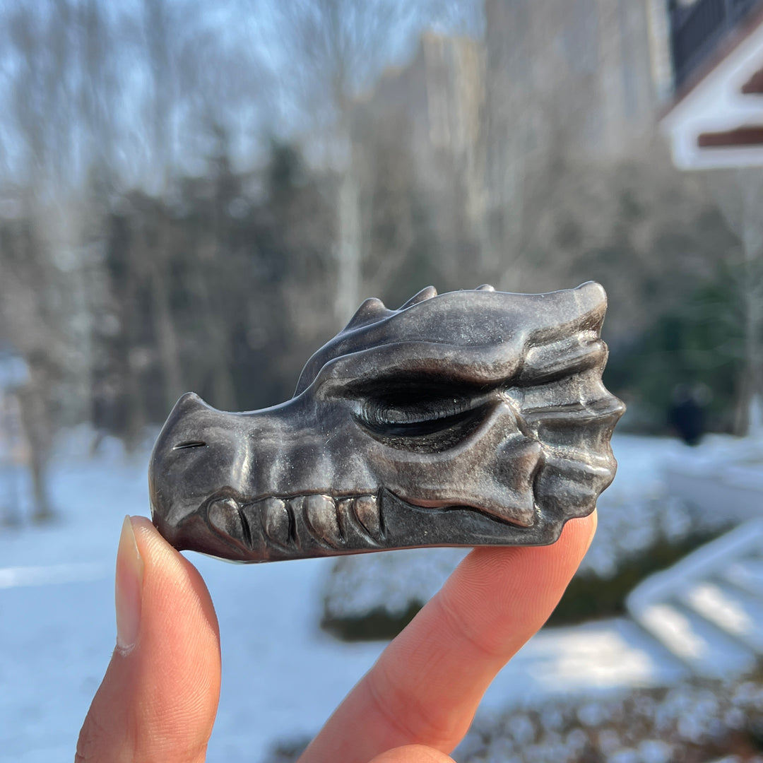 Natural Crystal Carving Silver Obsidian Dragon Head