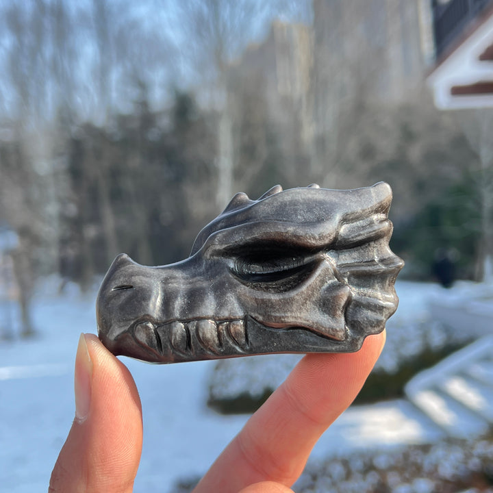 Natural Crystal Carving Silver Obsidian Dragon Head