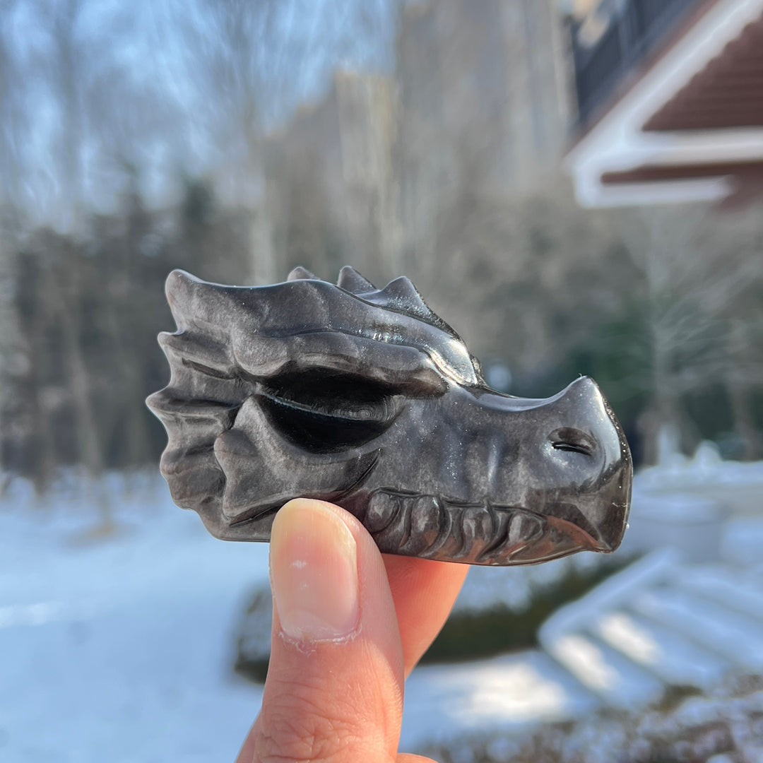 Natural Crystal Carving Silver Obsidian Dragon Head