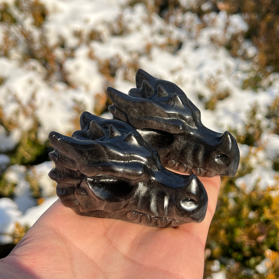 Natural Crystal Carving Silver Obsidian Dragon Head