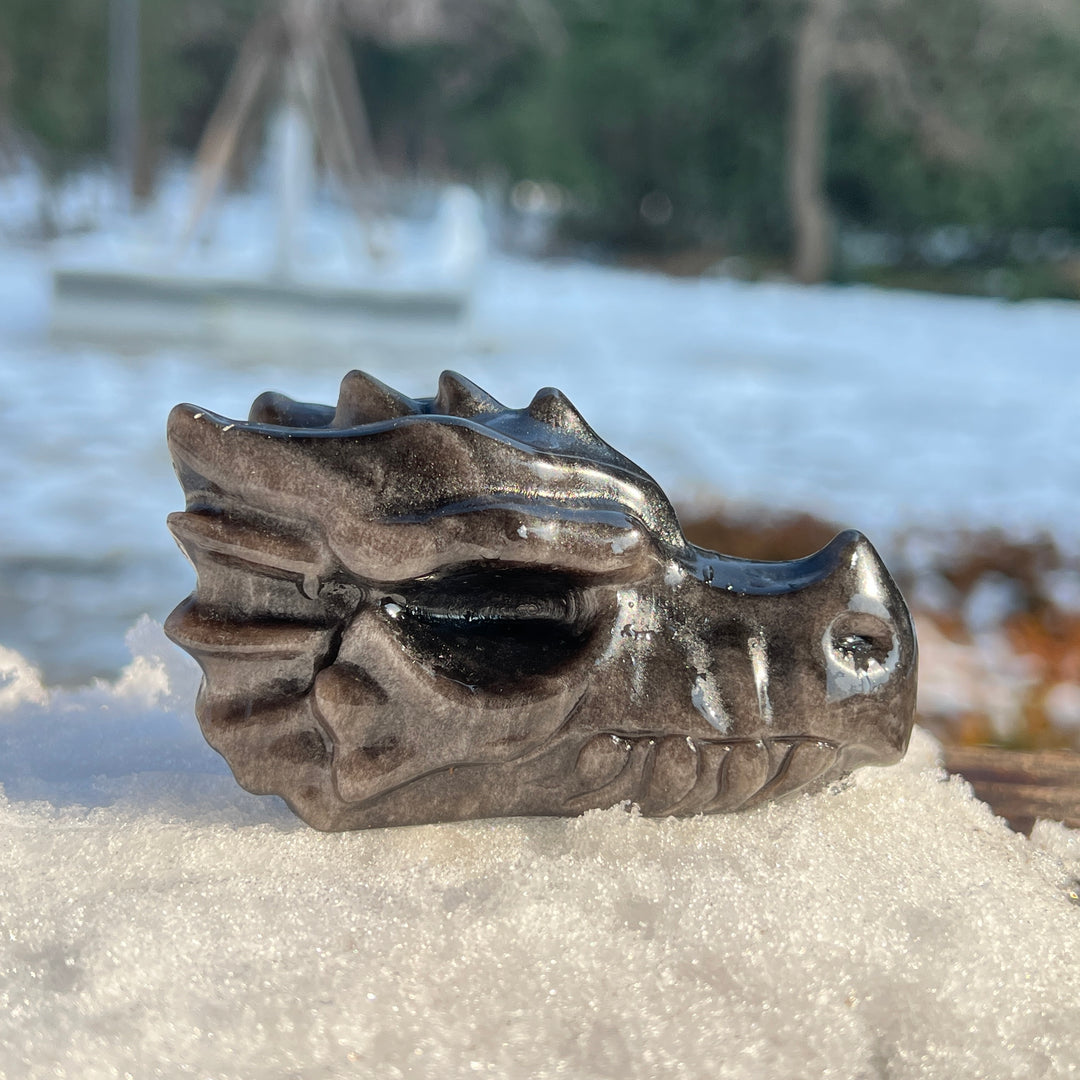Natural Crystal Carving Silver Obsidian Dragon Head
