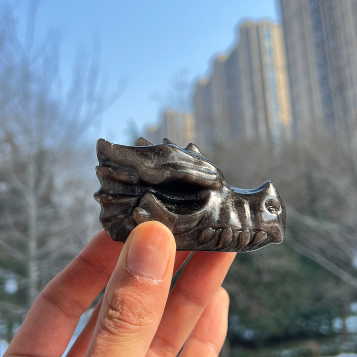 Natural Crystal Carving Silver Obsidian Dragon Head