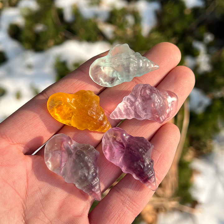 Natural Crystal Mini Conch Carving