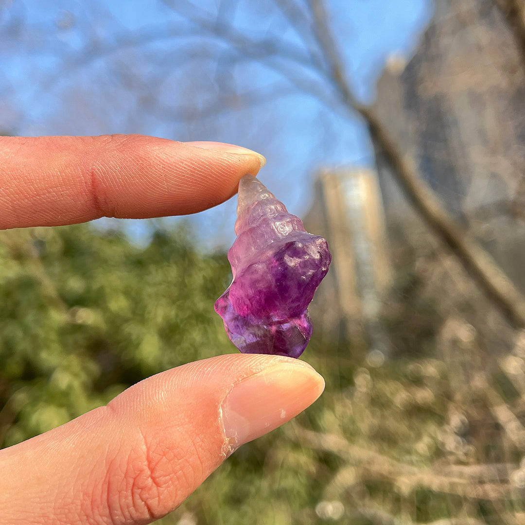 Natural Crystal Mini Conch Carving