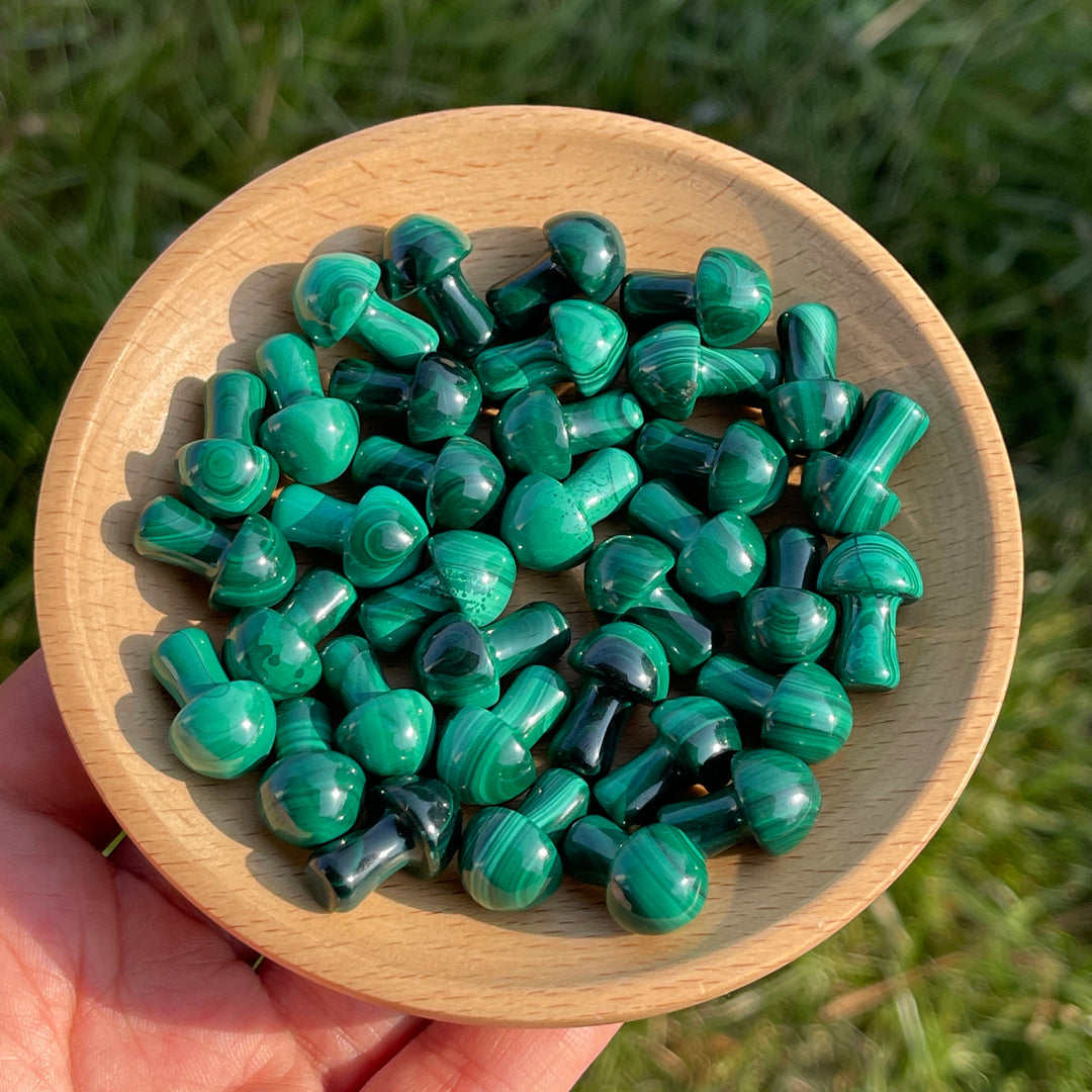 Natural Crystal Malachite Mushroom