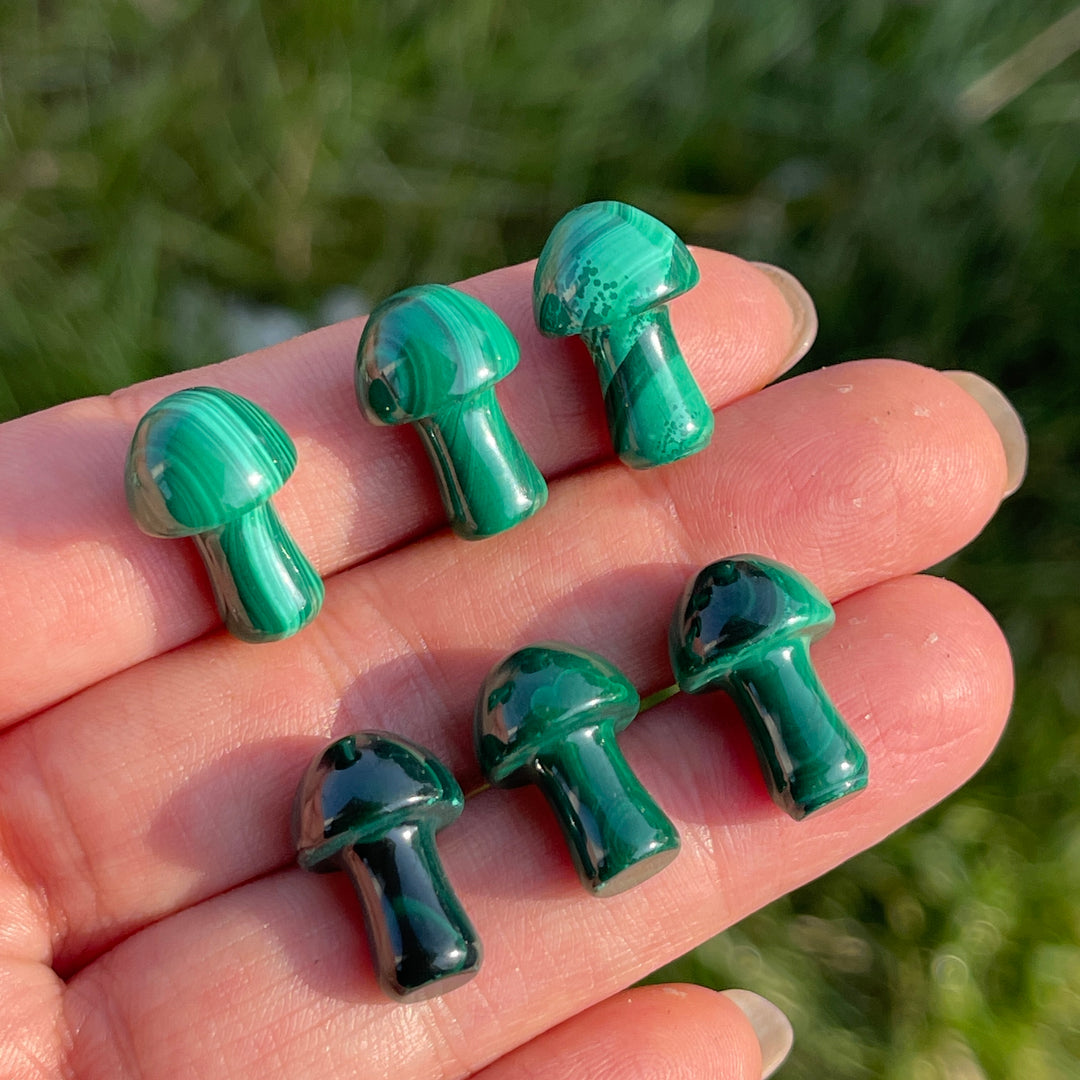 Natural Crystal Malachite Mushroom