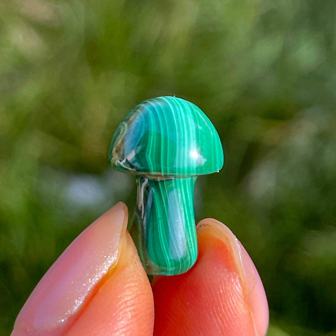 Natural Crystal Malachite Mushroom