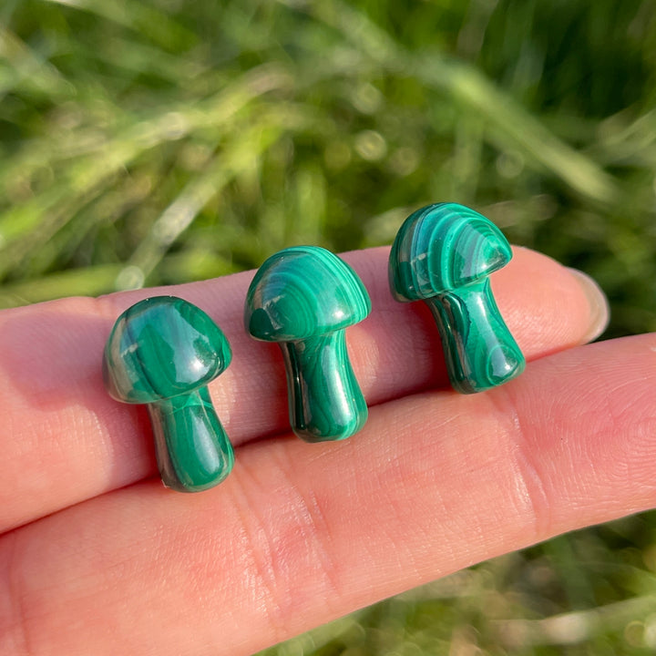 Natural Crystal Malachite Mushroom