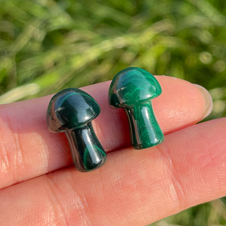Natural Crystal Malachite Mushroom