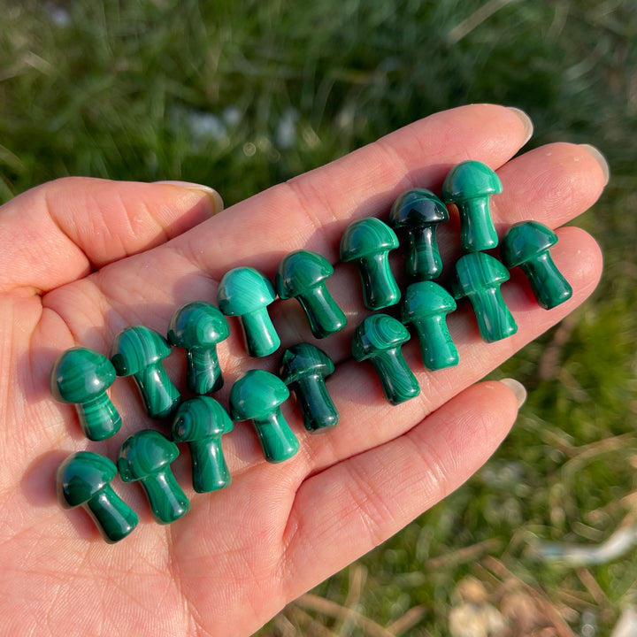 Natural Crystal Malachite Mushroom