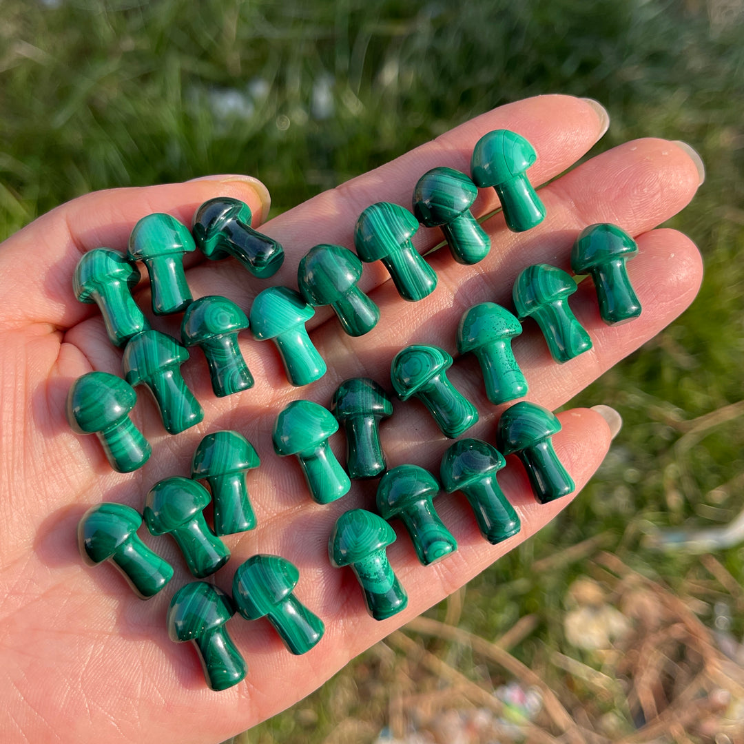 Natural Crystal Malachite Mushroom