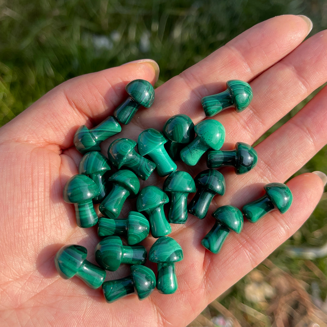 Natural Crystal Malachite Mushroom