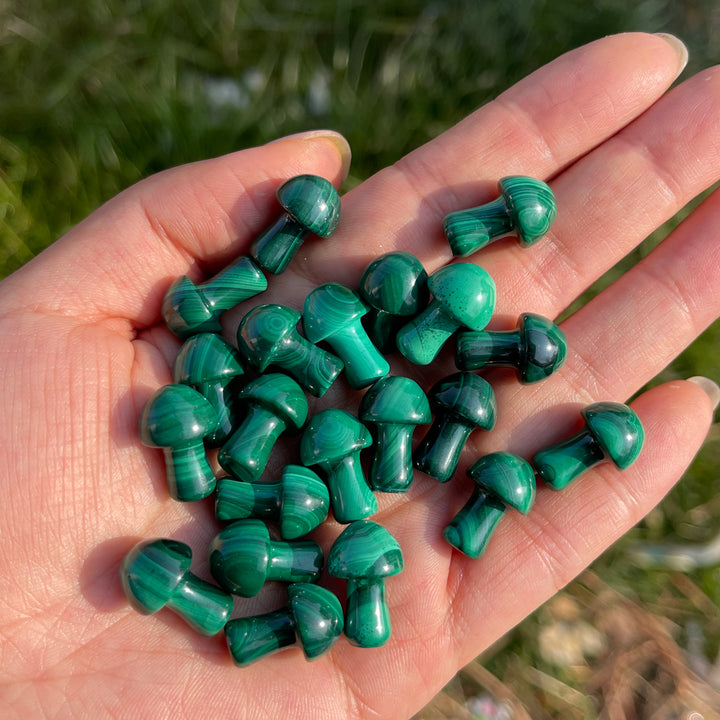 Natural Crystal Malachite Mushroom