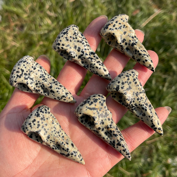 Natural Dalmatian Jasper Crow Skull