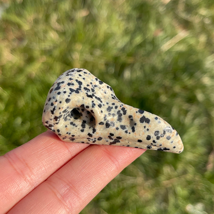 Natural Dalmatian Jasper Crow Skull
